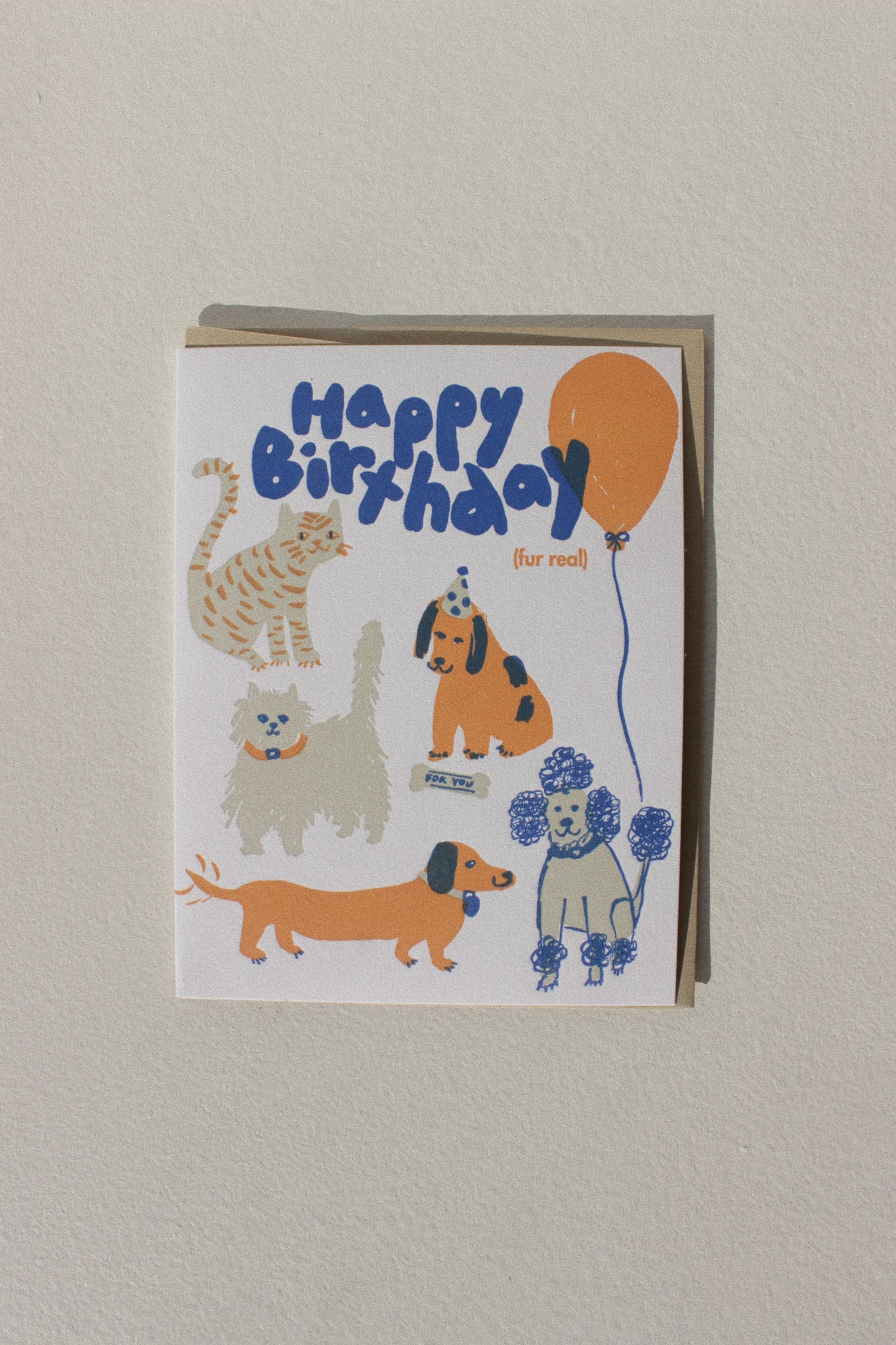 Birthday Dog & Cat Party Card