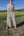 Wide Leg Trouser in Kelp